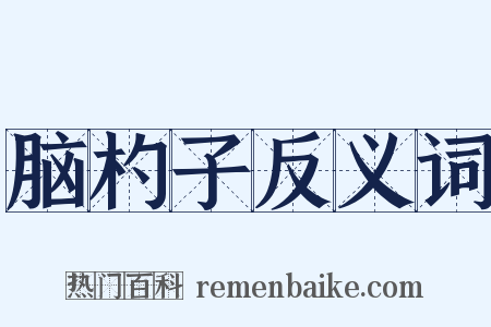 脑杓子反义词是什么意思的图片